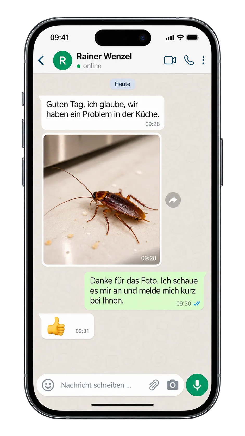 WhatsApp-Beispiel: Kunde schickt Foto einer Schabe, ich antworte innerhalb von Minuten